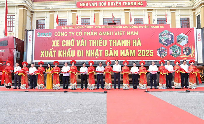 Hải Dương khai hội mùa vải: Lô vải thiều đầu tiên xuất sang Úc, Nhật Bản -0