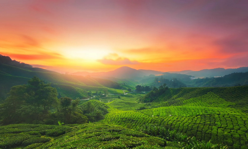 Những địa điểm hút khách nhất tại Malaysia -0