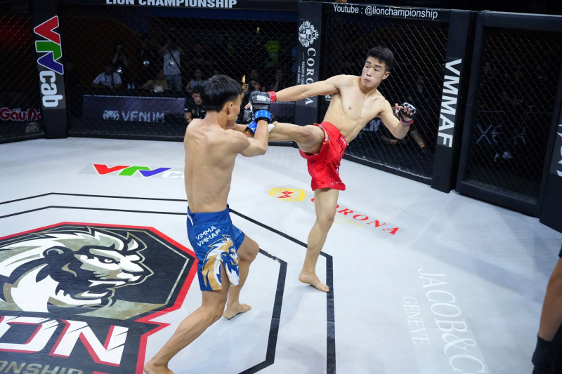 MMA를 국가 경쟁 시스템에 도입하기 -0