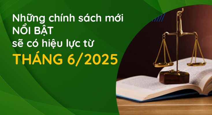 Những chính sách mới nổi bật  sẽ có hiệu lực từ tháng 6/2025 -0