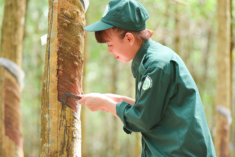 VRG trước thềm Đại hội cổ đông 2025: Bản lĩnh vượt khó, sẵn sàng cho sức bật mới -0