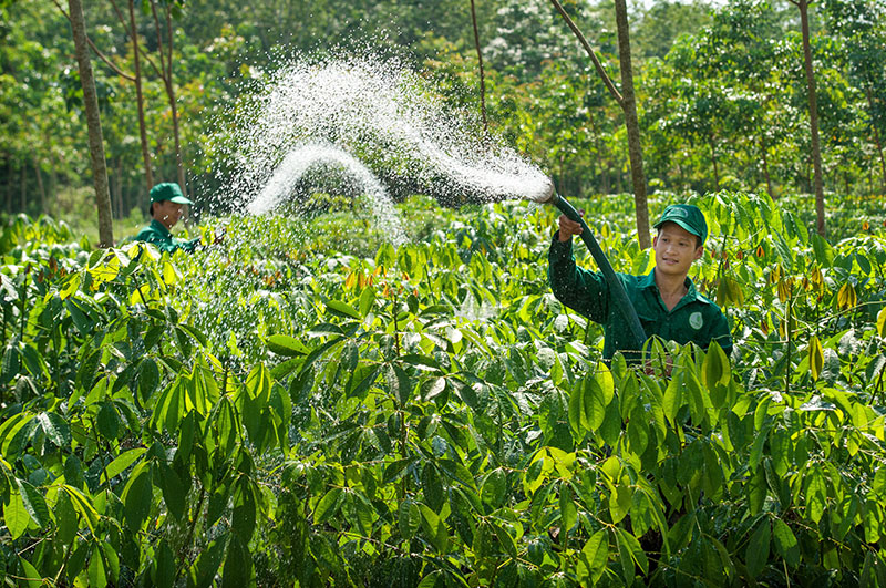VRG trước thềm Đại hội cổ đông 2025: Bản lĩnh vượt khó, sẵn sàng cho sức bật mới -1