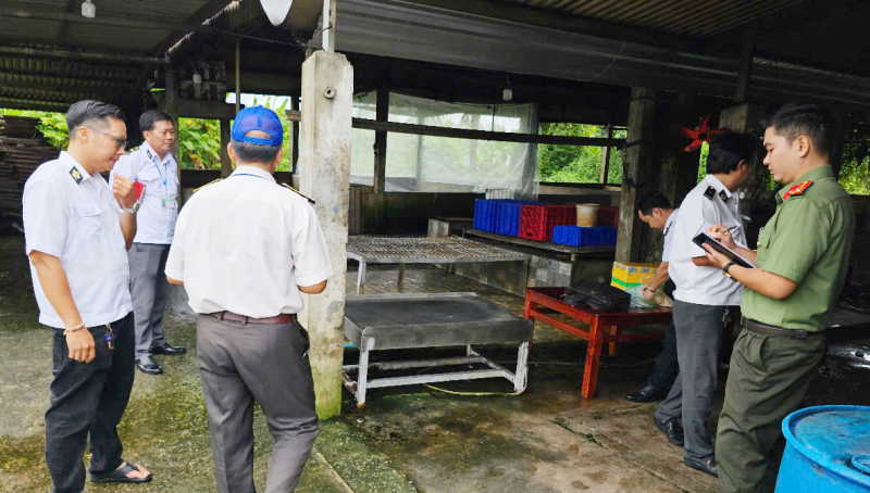 Cận cảnh lò giết mổ heo gia công cho công ty C.P Việt Nam ở huyện Mỹ Xuyên -0