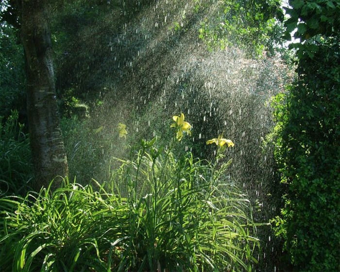Miền Bắc nắng gián đoạn, nhiều nơi có mưa; Nam Bộ mưa to -0