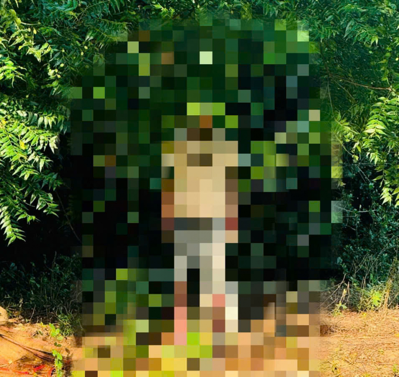 Phát hiện một người đàn ông tử vong trong bụi cây ở bờ sông trong tư thế treo cổ -0