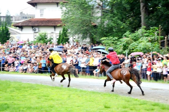 Exciting pack horse racing on the white plateau of Bac Ha -0