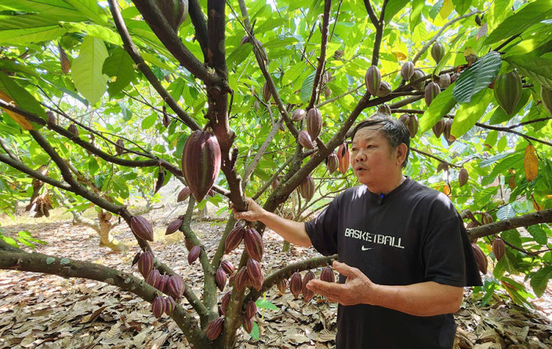 nong nghiep huu co 1.jpg -0