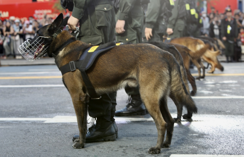 Đã mắt khi xem  cảnh khuyển “tác chiến” chống tội phạm ma túy tại chương trình “Vinh quang CAND Việt Nam” -1