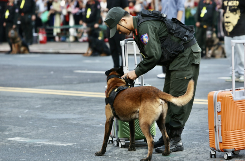 Đã mắt khi xem  cảnh khuyển “tác chiến” chống tội phạm ma túy tại chương trình “Vinh quang CAND Việt Nam” -0
