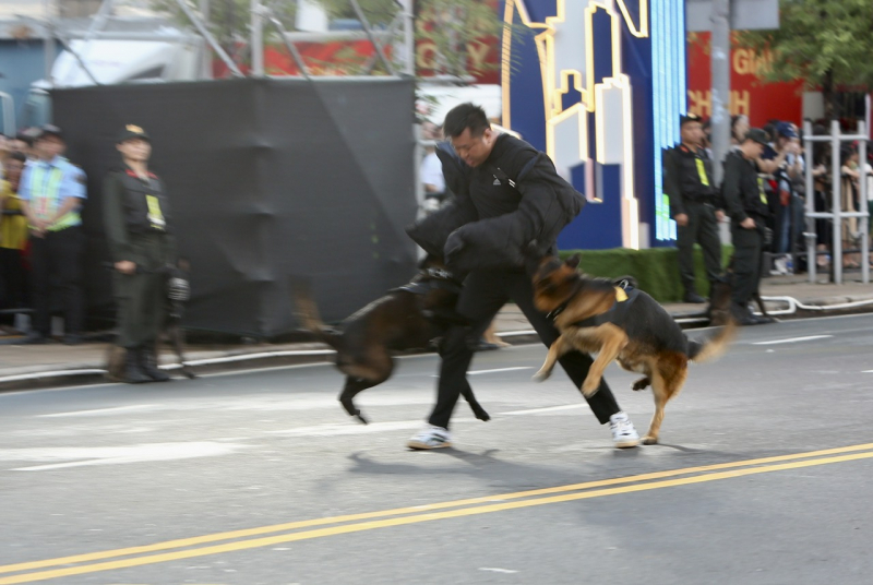 Đã mắt khi xem  cảnh khuyển “tác chiến” chống tội phạm ma túy tại chương trình “Vinh quang CAND Việt Nam” -2