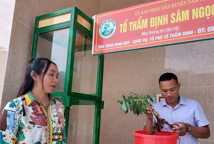 Chuyện những người soi… sâm! -0
