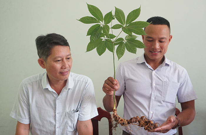 Chuyện những người soi… sâm! -0