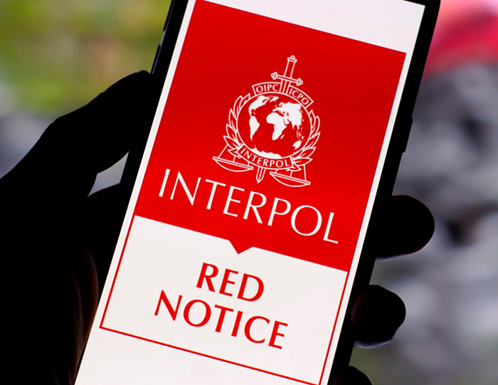 Hệ thống cảnh báo của Interpol: Vũ khí trong cuộc chiến chống tội phạm xuyên biên giới -0