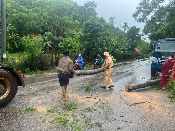 anh_2_cat_cay_nga_do-1749706113235.jpg -1