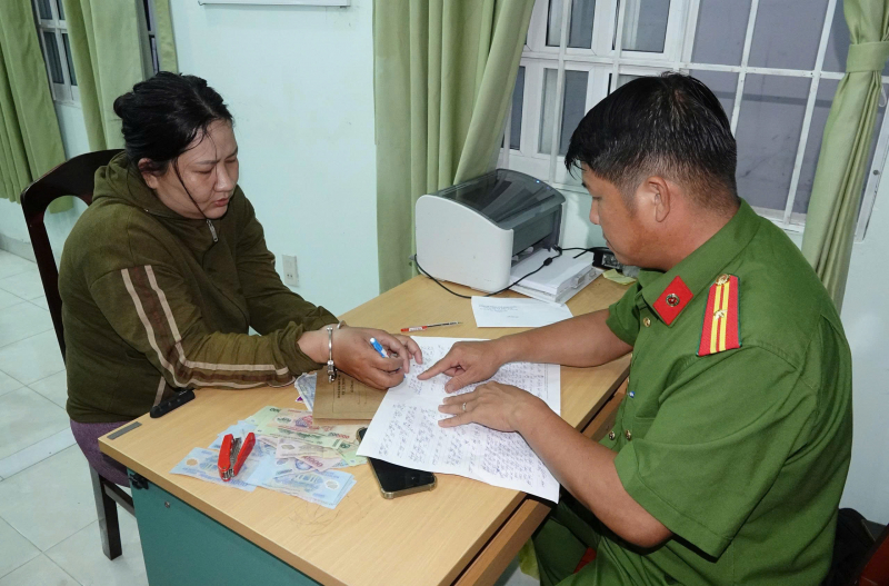 Bắt giữ người phụ nữ thực hiện hàng loạt vụ cướp giật -0