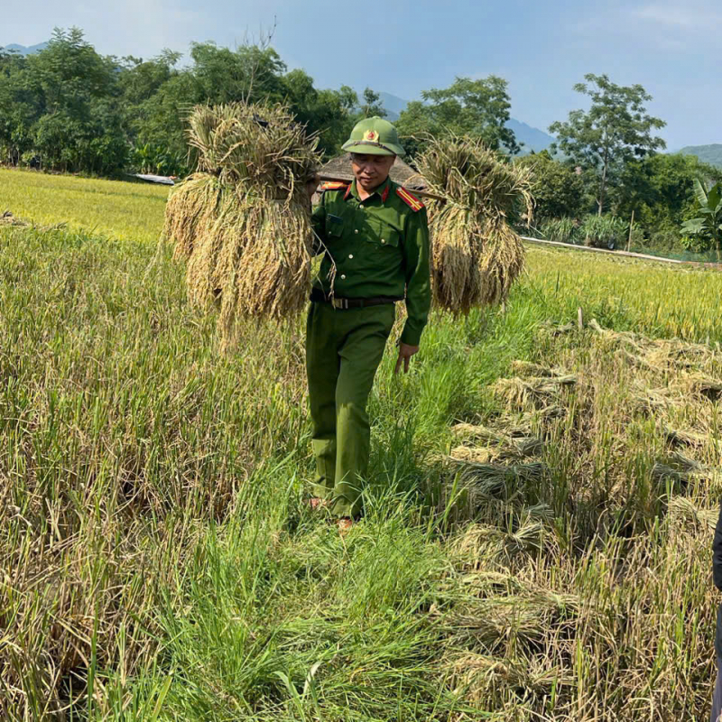2. bất chấp thời tiết nắng nóng, không khí lao động và tinh thần làm việc hăng say, nhiệt tình của cán bộ, chiến sĩ công an xã nghĩa đô đã giúp niềm vui được mùa thêm la tỏa..jpg -1