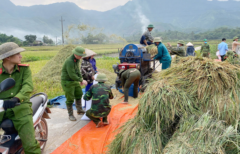5.chứng kiến màu xanh áo lính, hòa cùng với màu xanh tình nguyện khẩn trương cắt lúa rồi bó lại, vận chuyển lên bờ chờ đưa vào máy tuốt… nhiều người dân không khỏi xúc động..jpg -0