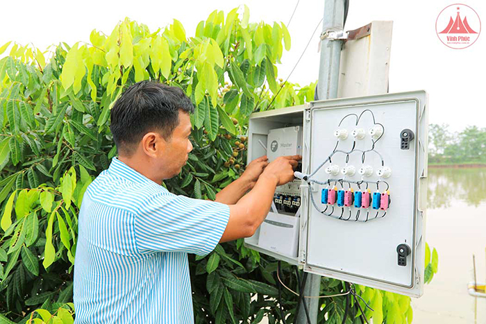 Vĩnh Phúc đẩy mạnh thi đua đổi mới sáng tạo, chuyển đổi số -0