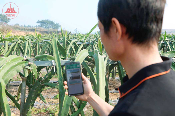 Vĩnh Phúc đẩy mạnh thi đua đổi mới sáng tạo, chuyển đổi số -0
