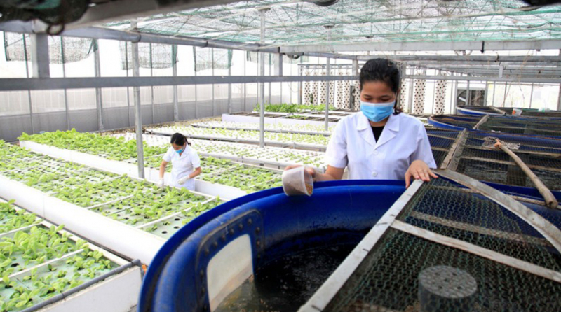 b9- 12062025ungsungcongnghesonongnghiep.jpg -0