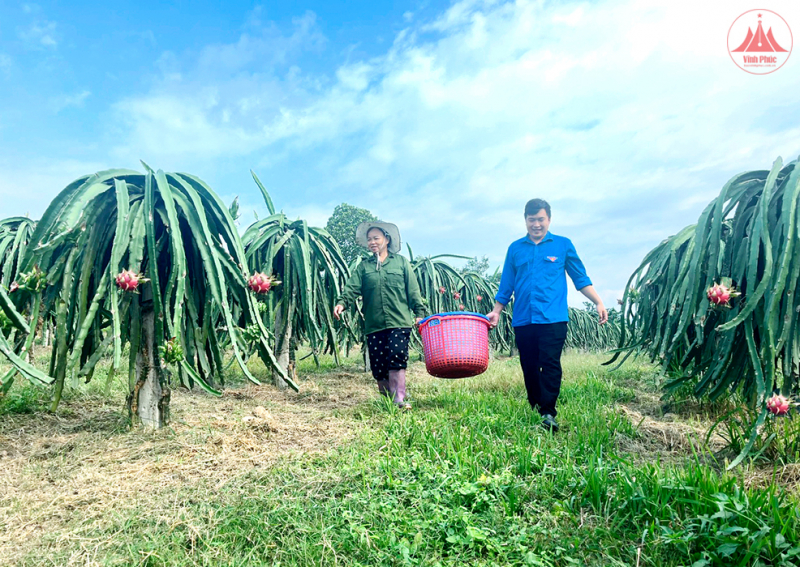 b9- 967_993_img_1213.jpg -1