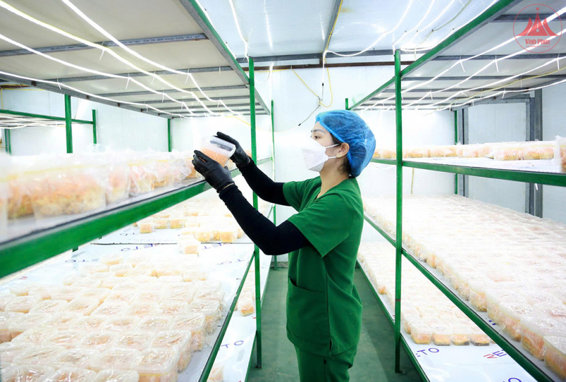 b9- 978_998_z6692195133904_6d58d3e5946233b41ad75ae6b2c92dcb.jpg -0