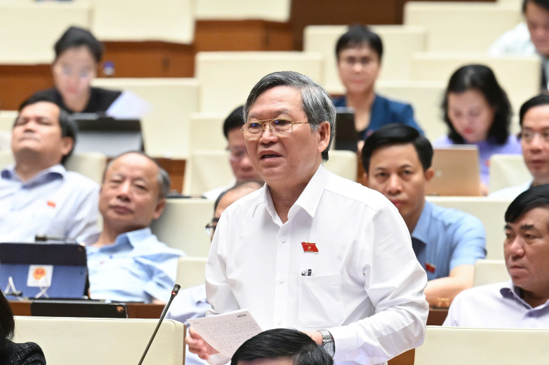 tô văn tám.jpg -0