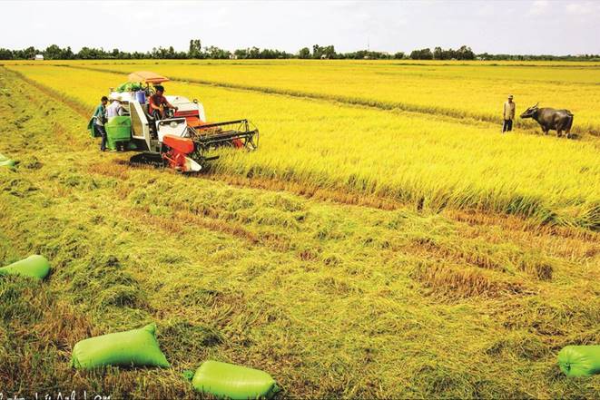 Bài 2: Tiềm năng lớn, thách thức… không nhỏ -0