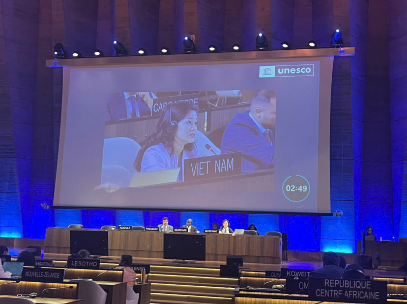 Việt Nam tiếp tục trúng cử thành viên Ủy ban liên chính phủ Công ước UNESCO 2005 -0