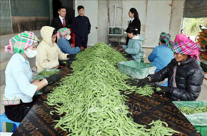 Từ ngày 1/7, nâng mức cho vay đối với cá nhân, hộ kinh doanh không có tài sản đảm bảo -0