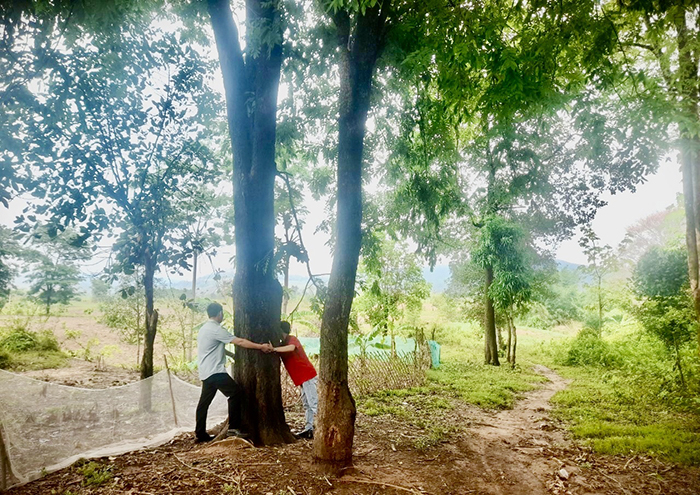 Mang rừng về lại bản -0