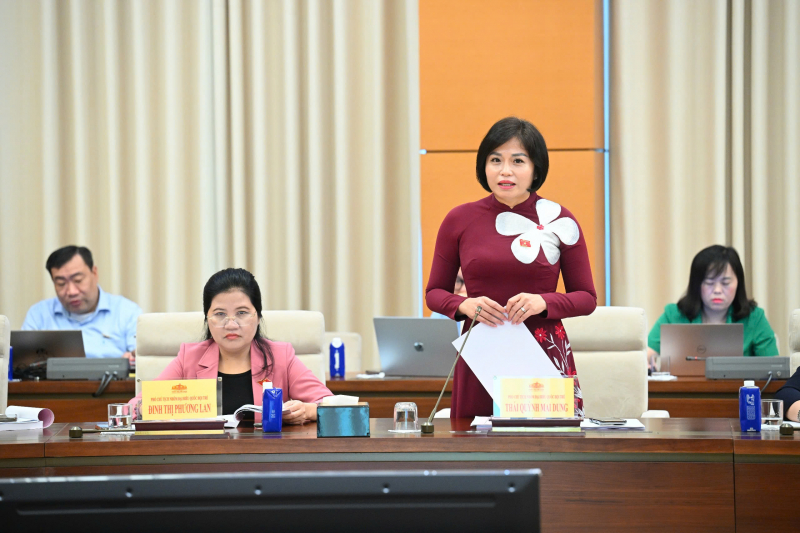 Đại biểu Quốc hội trẻ đóng góp vào dự thảo Văn kiện Đại hội XIV của Đảng -0