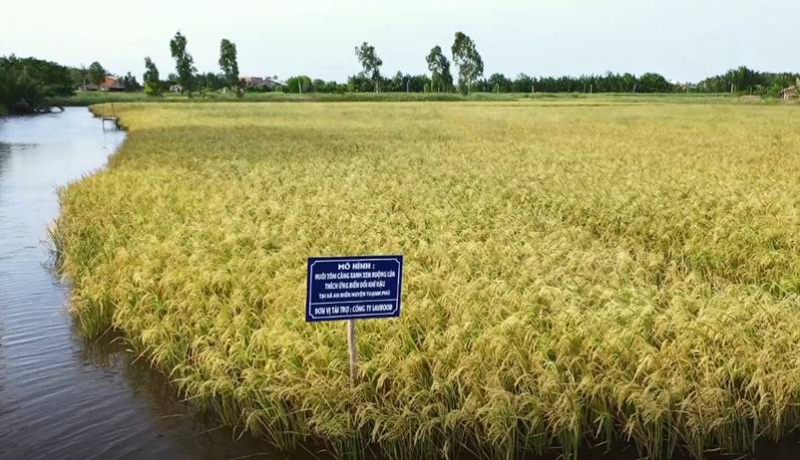 Bến Tre – “bàn đạp” chiến lược cho tăng trưởng mới của tỉnh Vĩnh Long sau sáp nhập -0