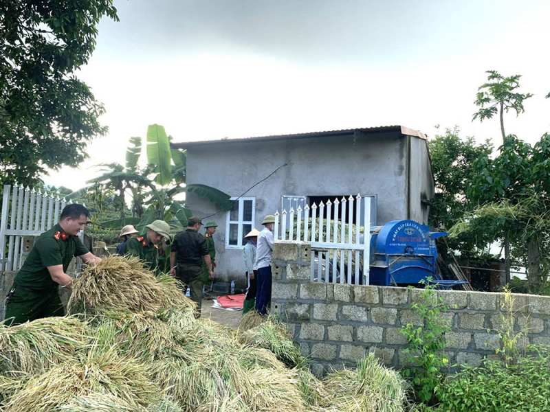 Công an xã giúp người dân thu hoạch lúa tránh thiên tai -8