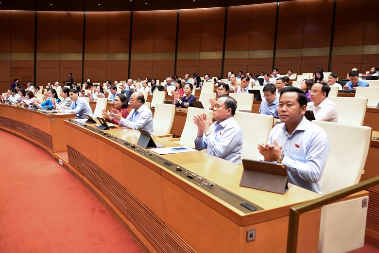 Quốc hội thông qua Luật Tham gia lực lượng gìn giữ hoà bình của Liên hợp quốc -0