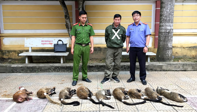 Hệ lụy từ buôn bán động vật hoang dã trái phép -0
