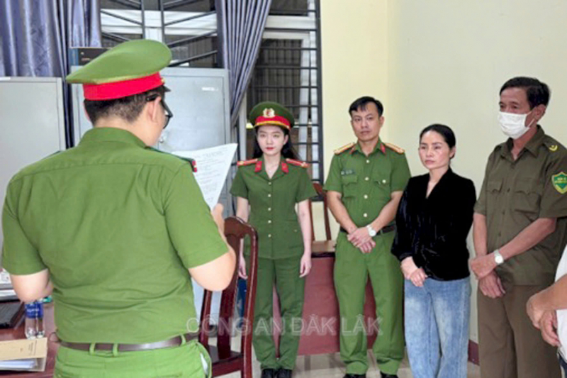 Thực hư Công ty Trần Kim Huyền “tặng biệt thự triệu đô” -0