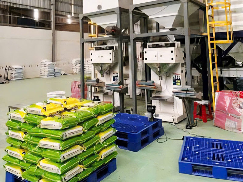 Gạo ST25 Sóc Trăng là sản phẩm duy nhất đạt OCOP 5 sao -0