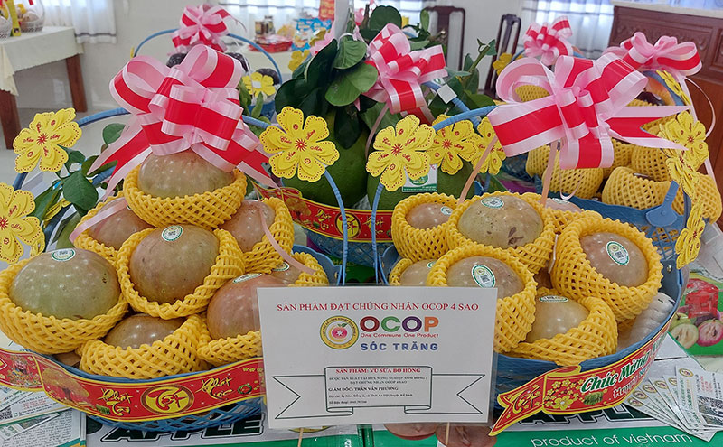 Gạo ST25 Sóc Trăng là sản phẩm duy nhất đạt OCOP 5 sao -0