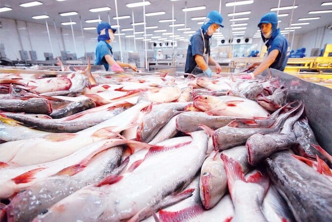 Việt Nam là đối tác lý tưởng của BRICS -0