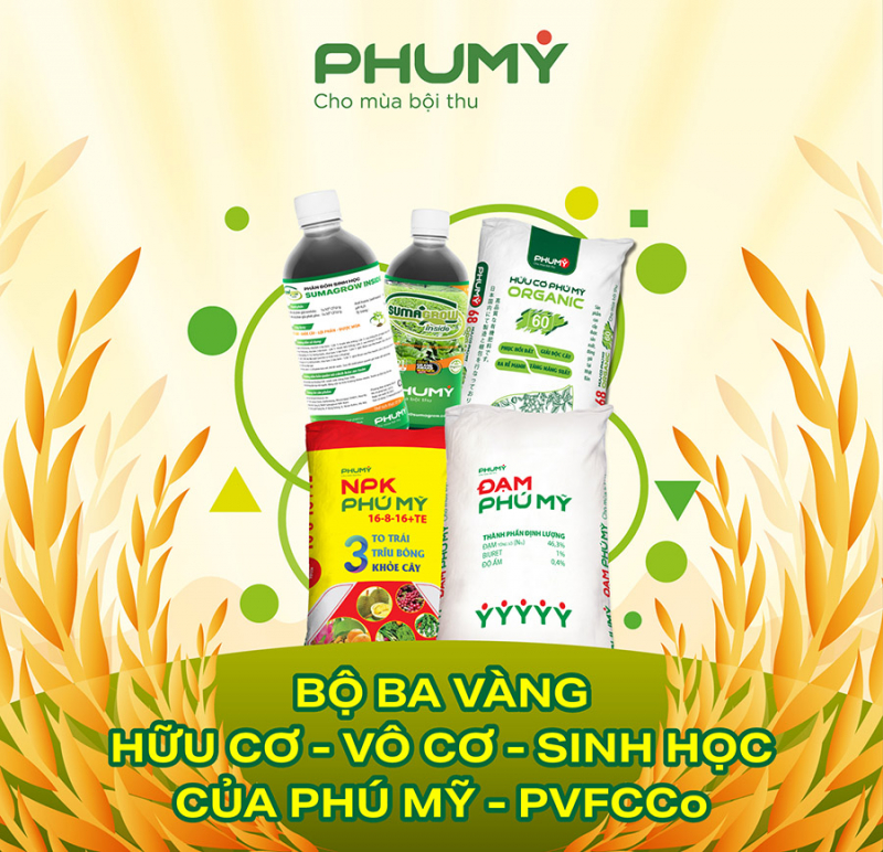 Bộ ba vàng vô cơ – hữu cơ – sinh học của Phú Mỹ - PVFCCo -0
