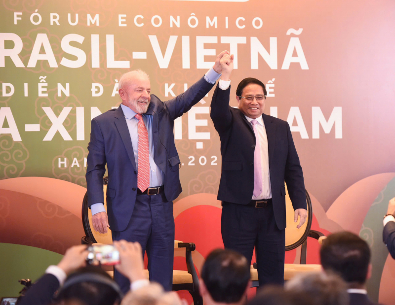 Việt Nam là đối tác lý tưởng của BRICS -0