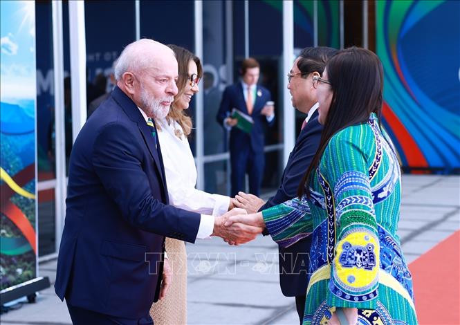 Việt Nam là đối tác lý tưởng của BRICS -0