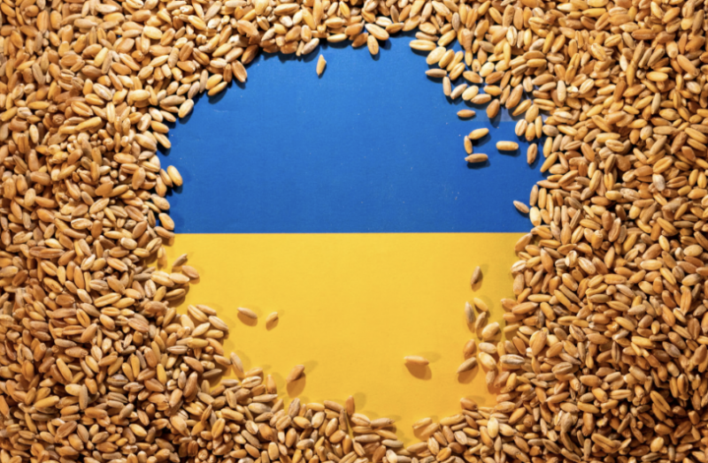 EU tuyên bố cắt giảm tới 80% lượng nhập khẩu lúa mì và đường từ Ukraine -0