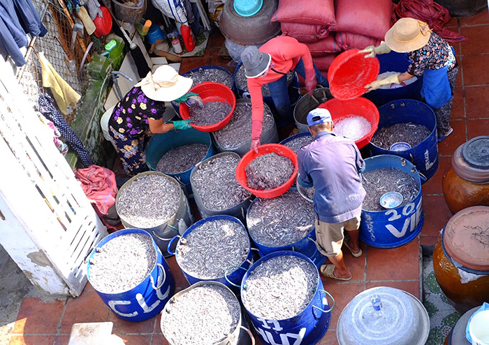Khát vọng màu cánh gián -0