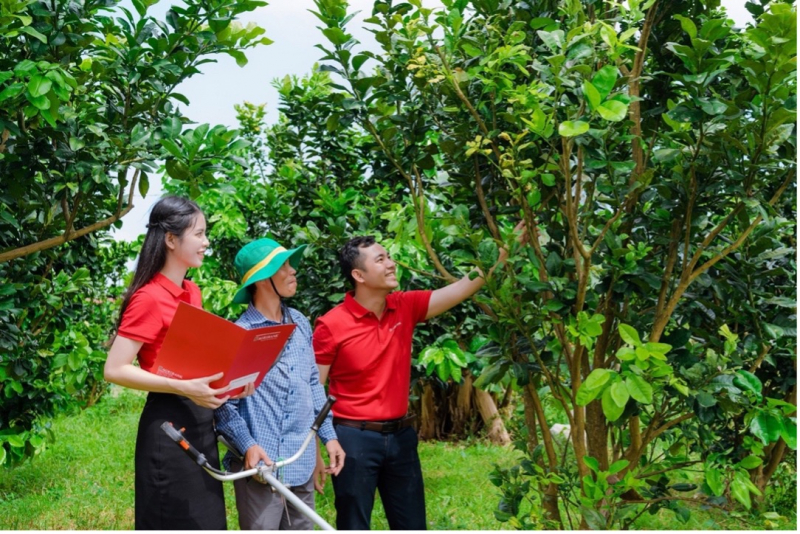Từ Doanh nghiệp ESG Việt Nam xanh 2025 đến vai trò kiến tạo trong hệ sinh thái quốc gia -0