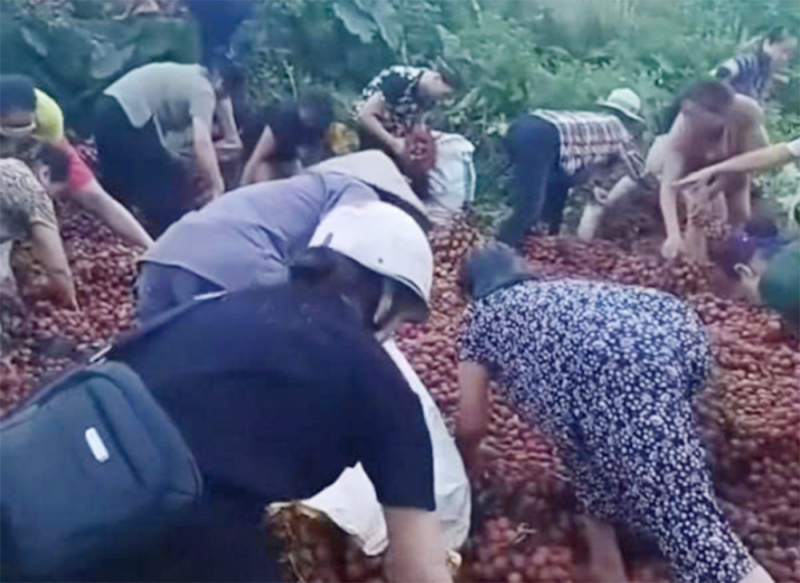 Thông tin bất ngờ về vụ