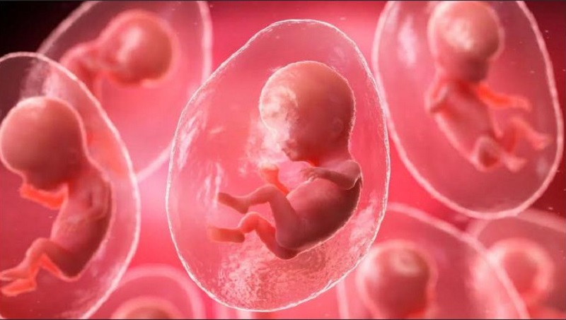 Em bé đầu tiên trên thế giới được thụ thai nhờ… AI -0