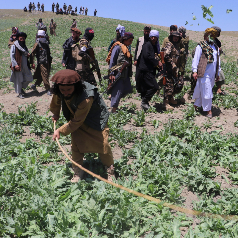 Taliban với hành trình bước ra khỏi bóng tối -0