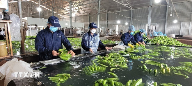 Quan hệ Việt Nam-Mỹ tiến tới tầm cao mới trên nền tảng hiểu biết và tin cậy -0